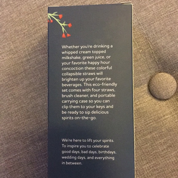 Silicone Straws, Brush Cleaner and Plastic Case - Picture 4 of 4